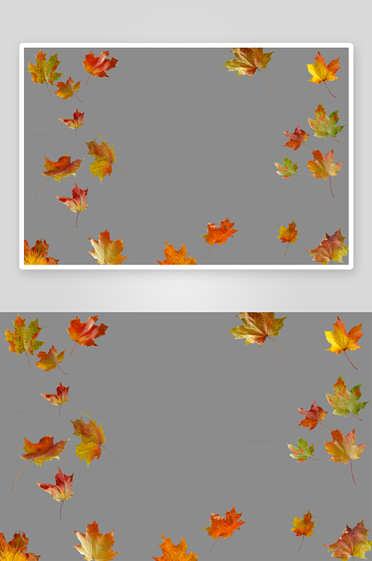 落叶树叶免抠素材-众图网