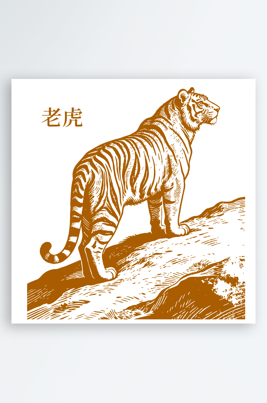 矢量老虎的线描图素材