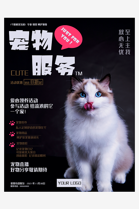 宠物海报设计模板-众图网