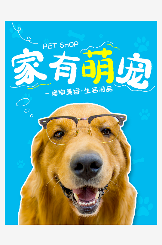 宠物海报设计模板-众图网