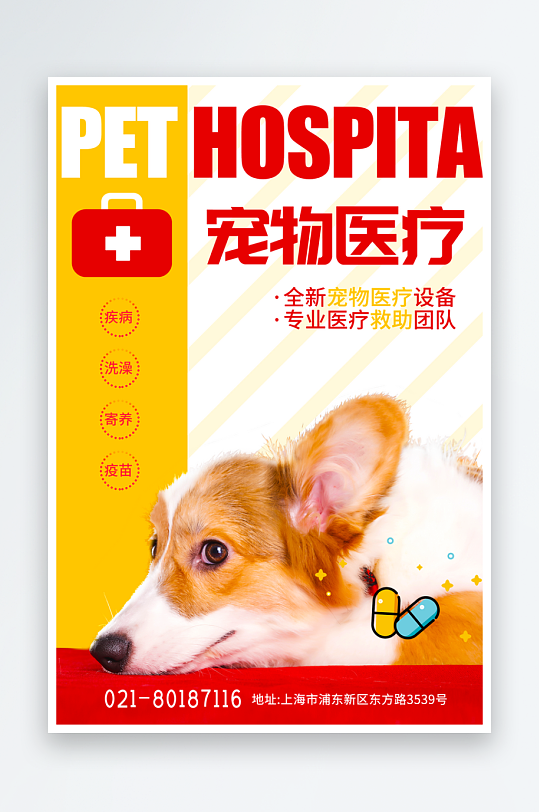 宠物创意海报设计模板-众图网
