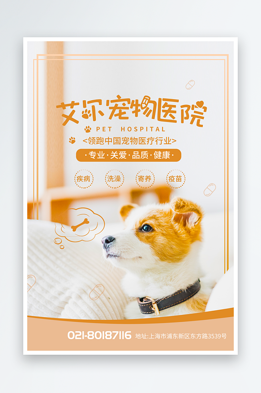 宠物创意海报设计模板-众图网