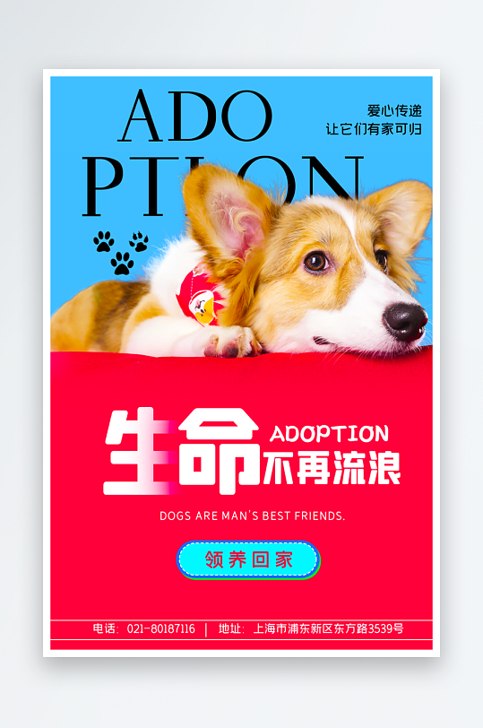 宠物宣传海报设计模板-众图网