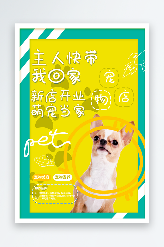 宠物宣传海报模板-众图网