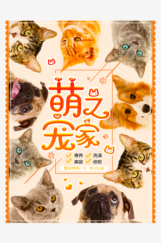 宠物宣传海报设计模板-众图网