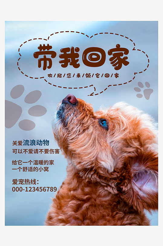 宠物海报设计模板素材-众图网