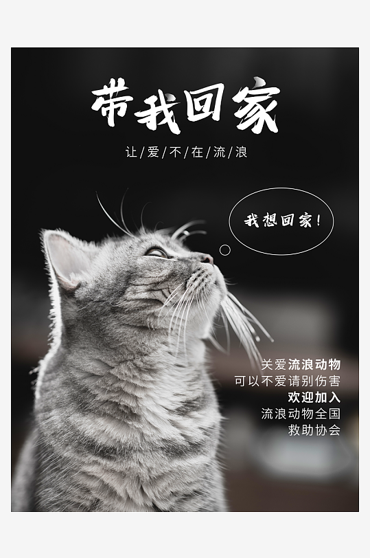 宠物海报模板素材-众图网