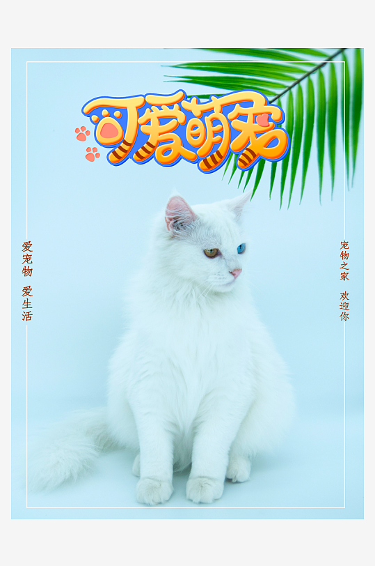 宠物海报设计模板素材-众图网