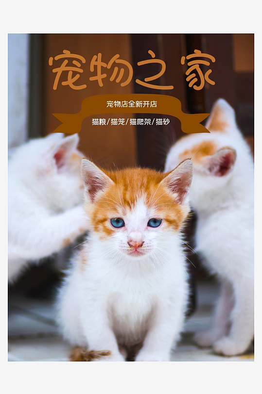 宠物海报设计模板素材-众图网