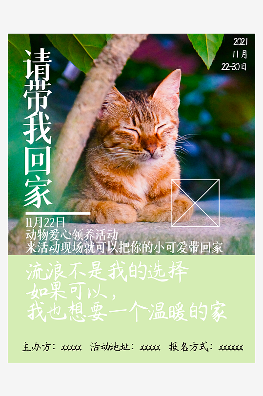 宠物海报设计模板素材-众图网