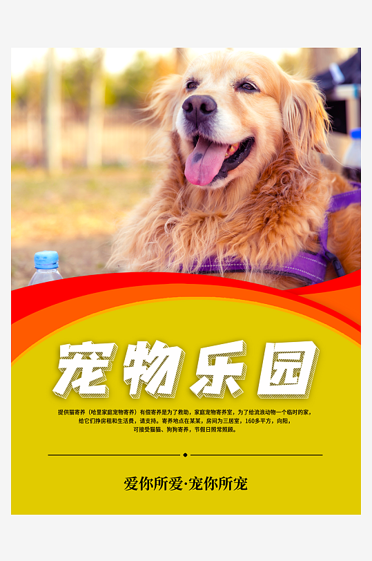 宠物宣传海报模板素材-众图网