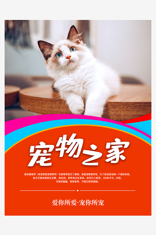 宠物宣传海报模板素材-众图网