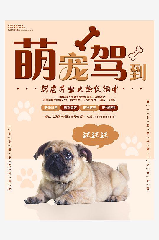 宠物宣传海报设计模板素材-众图网