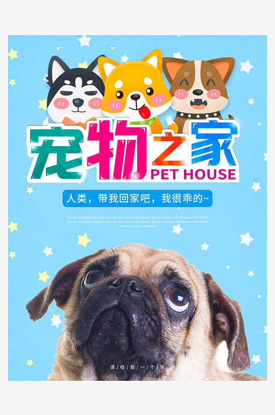 宠物宣传海报设计模板素材-众图网
