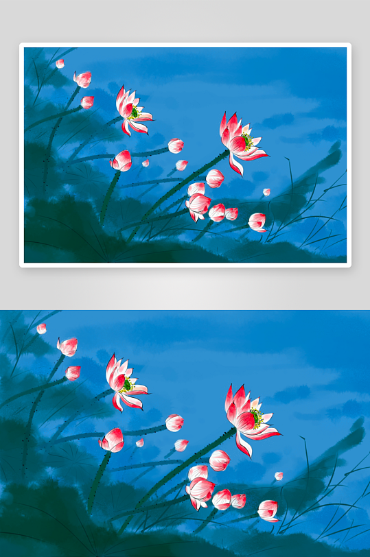 工笔画莲花荷花图-众图网