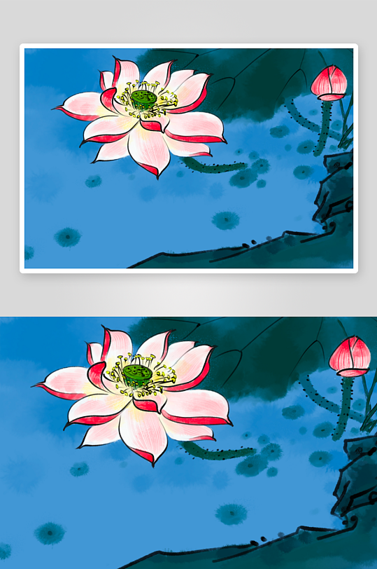 工笔画莲花荷花图-众图网