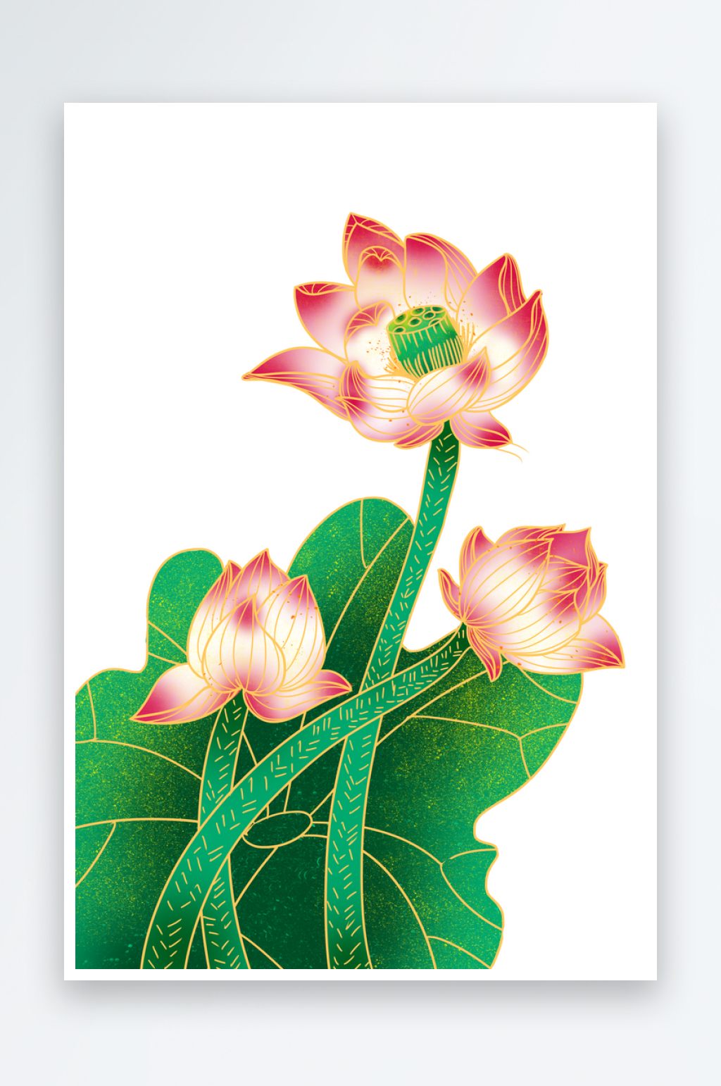 最新原创莲花荷花设计元素素材