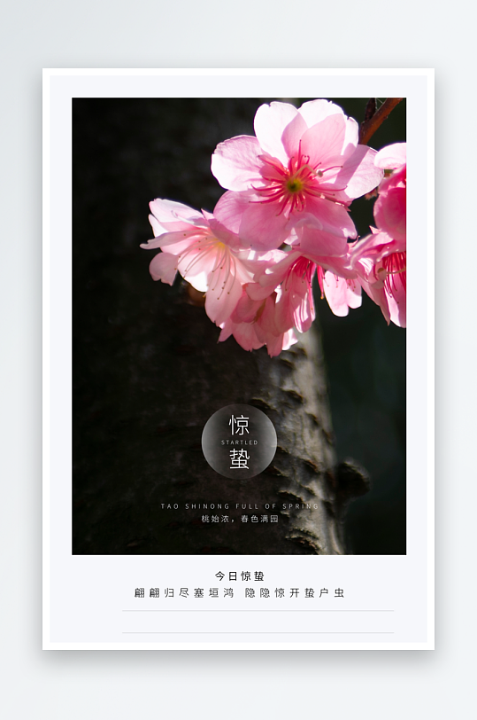 惊蛰二十四节气海报模板-众图网