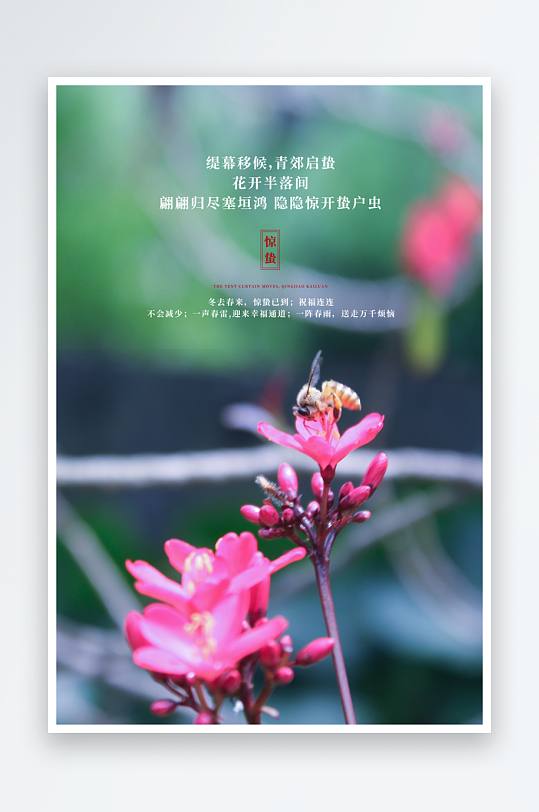 惊蛰二十四节气海报模板-众图网