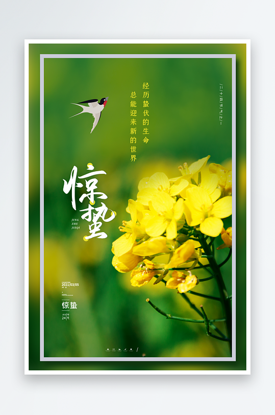 惊蛰二十四节气海报模板-众图网