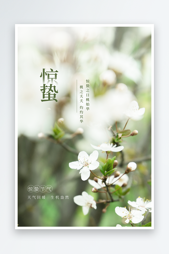 节气惊蛰海报传统节气-众图网