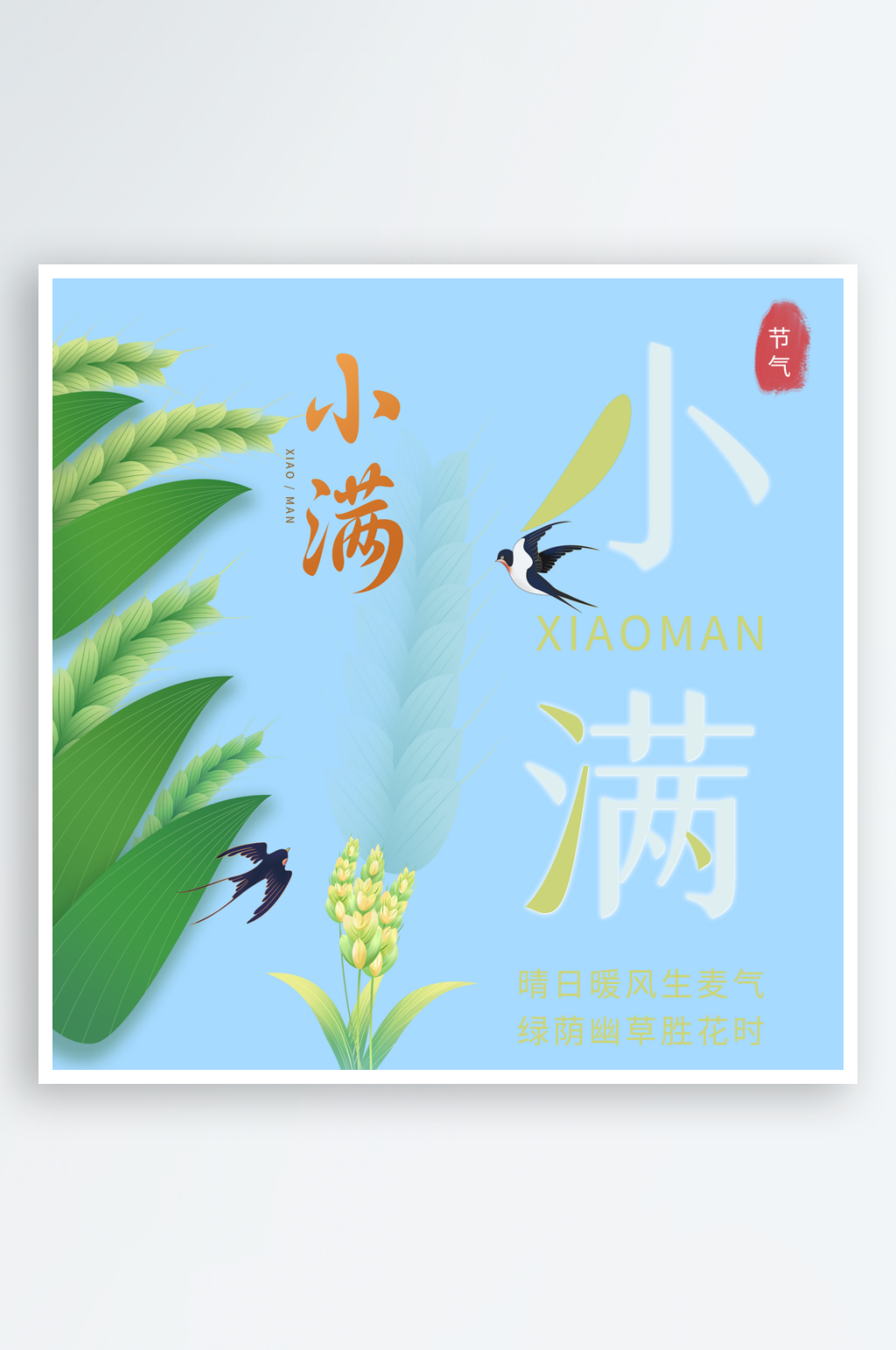 二十四节气之小满素材素材