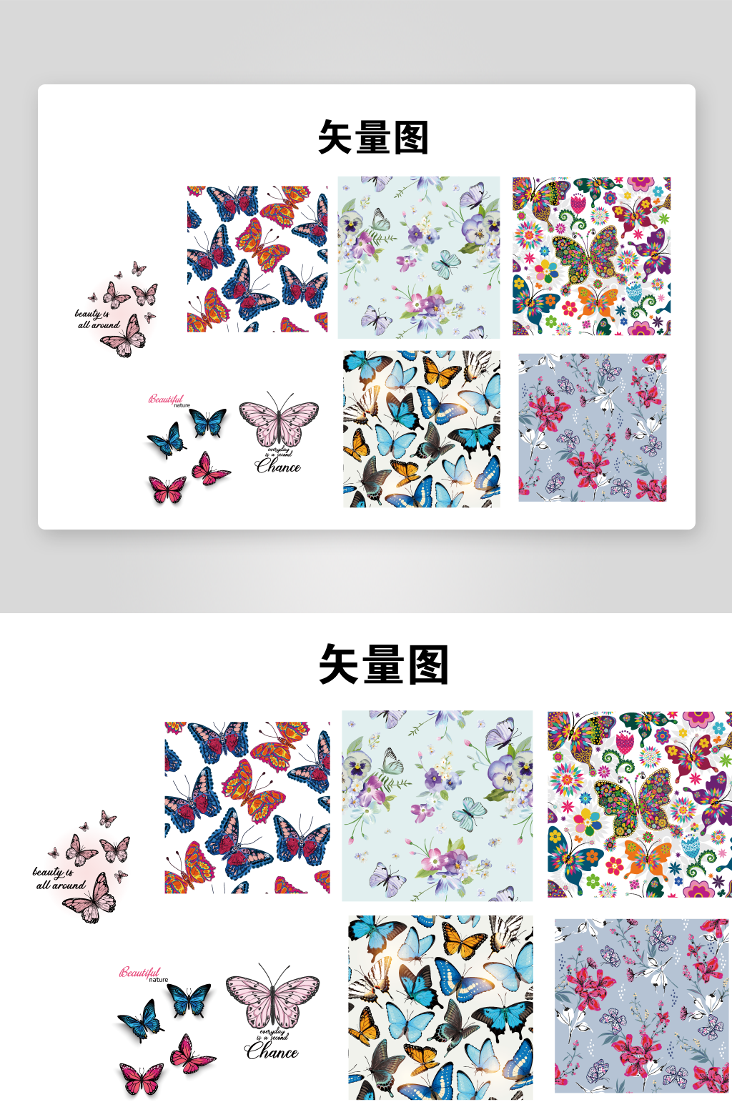 多彩蝴蝶矢量图案集合素材