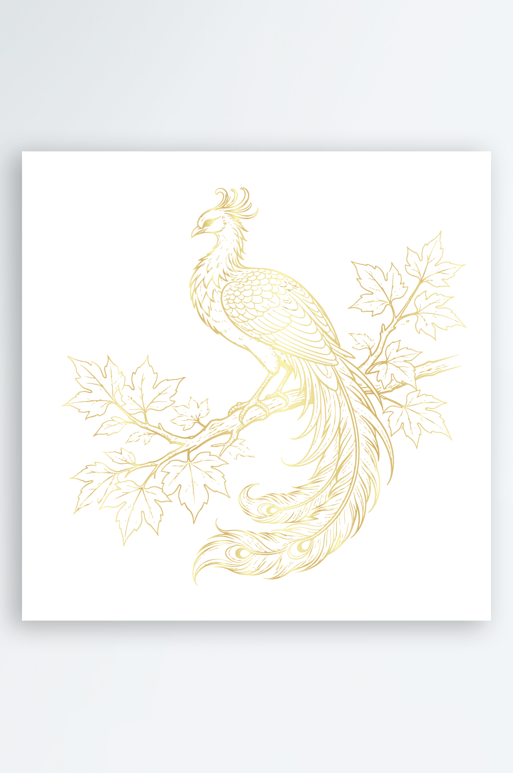 凤凰矢量插画素材素材