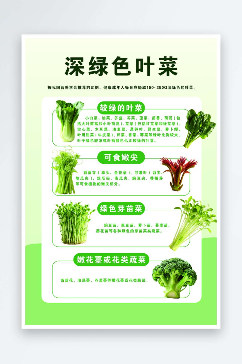 深绿色叶菜种类海报素材