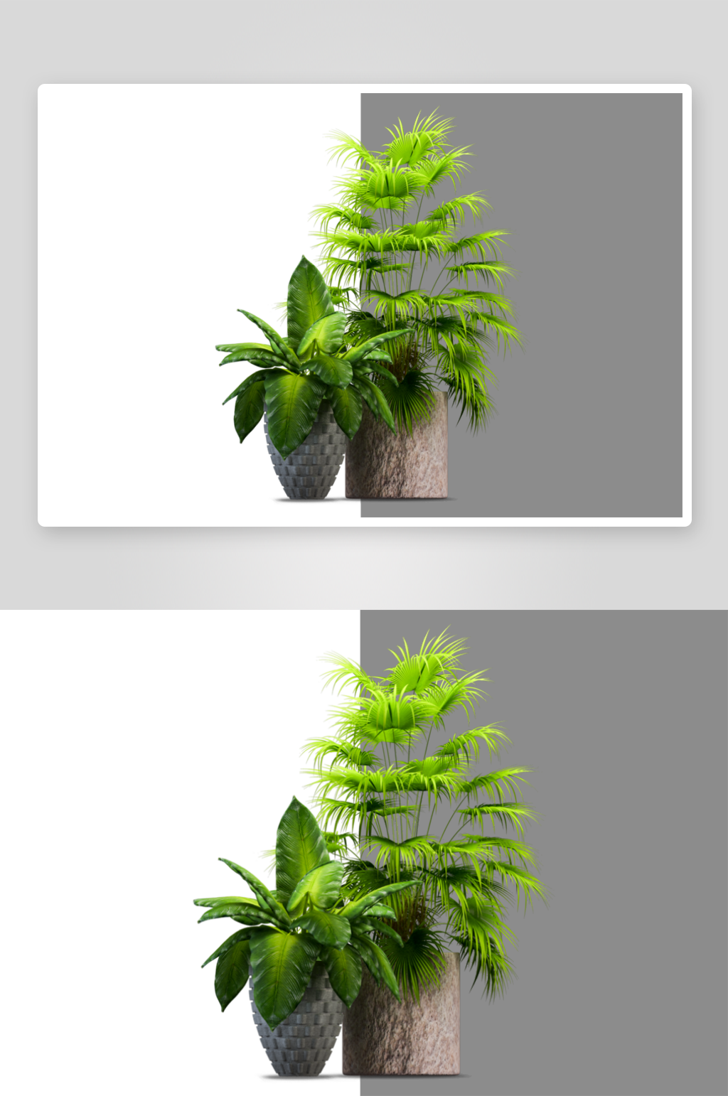 免抠室内盆栽盆景绿植植物装饰摆件贴图摆件素材