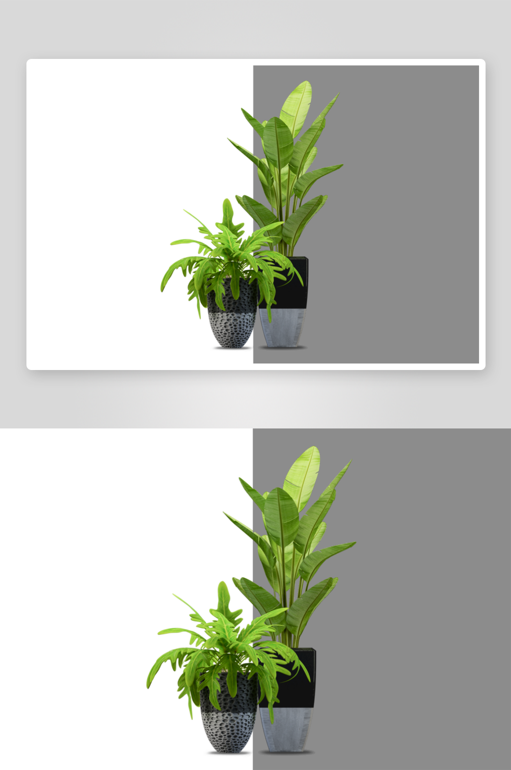 免抠室内盆栽盆景绿植植物装饰摆件贴图素材